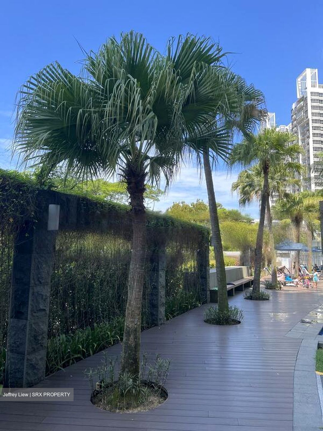 The Parc Condominium (D5), Condominium #459254701